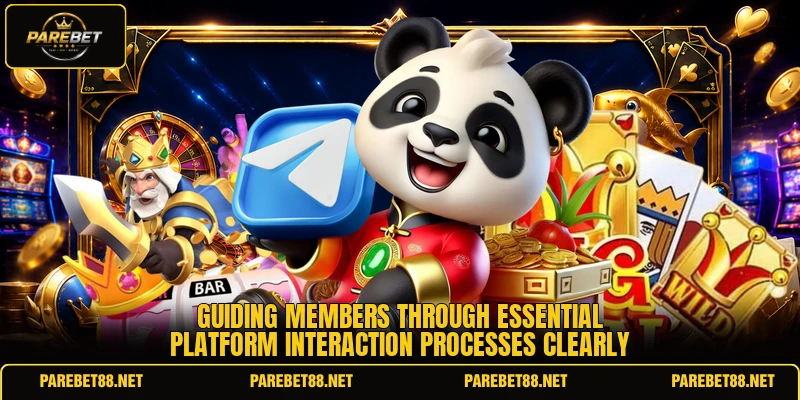 Guiding members through essential platform interaction processes clearly